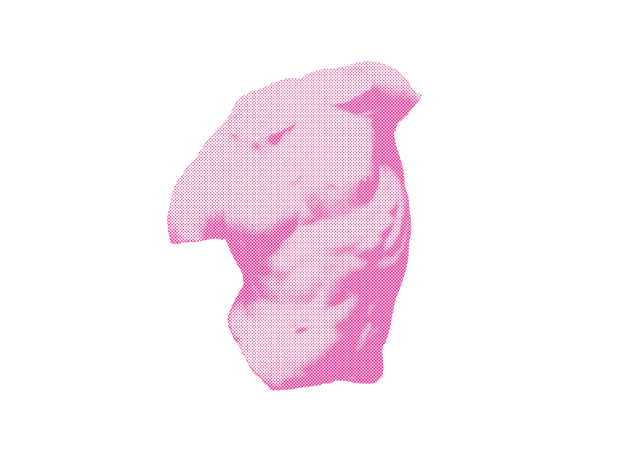 Anatomy