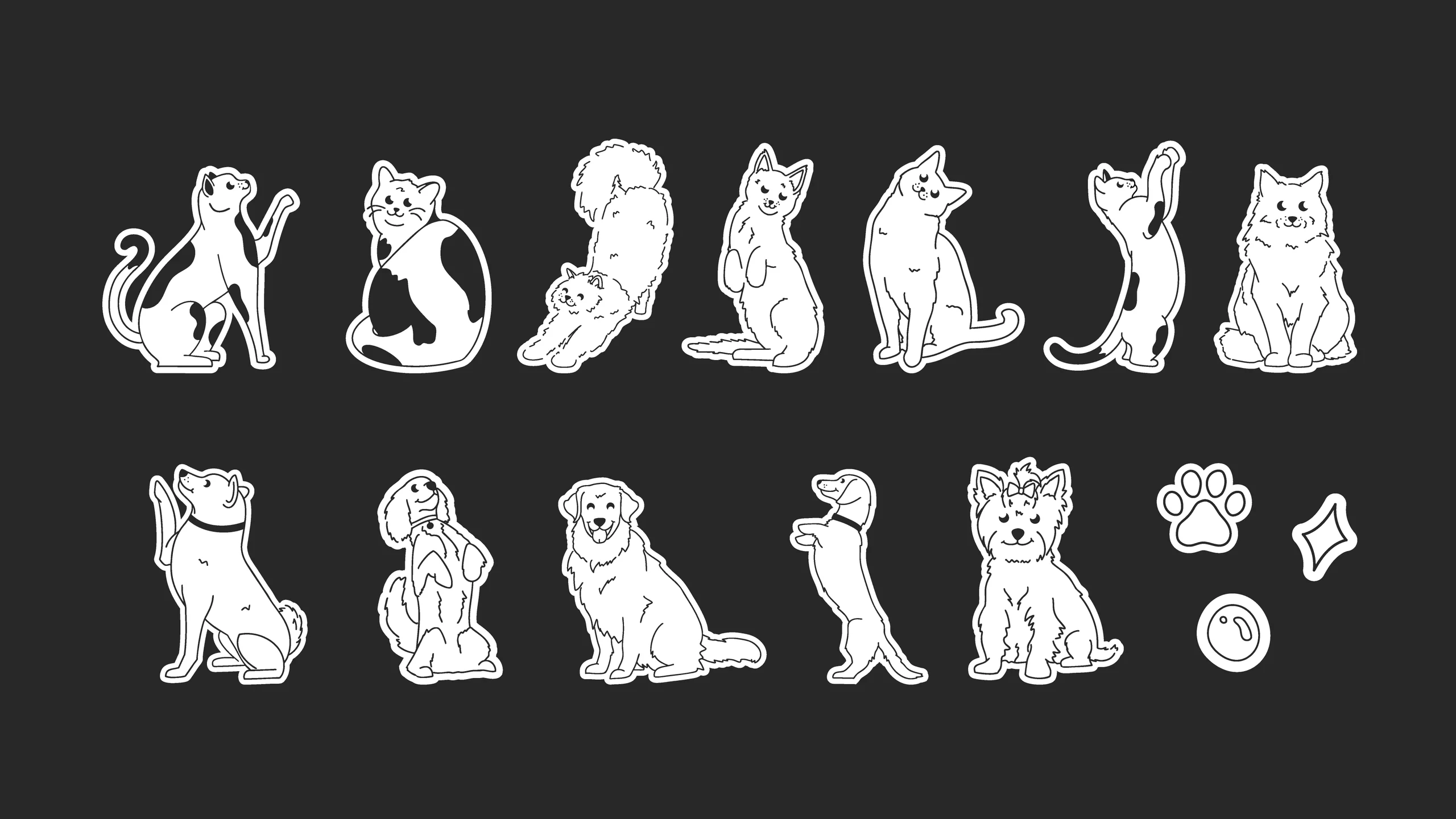 BioPaw illustrations