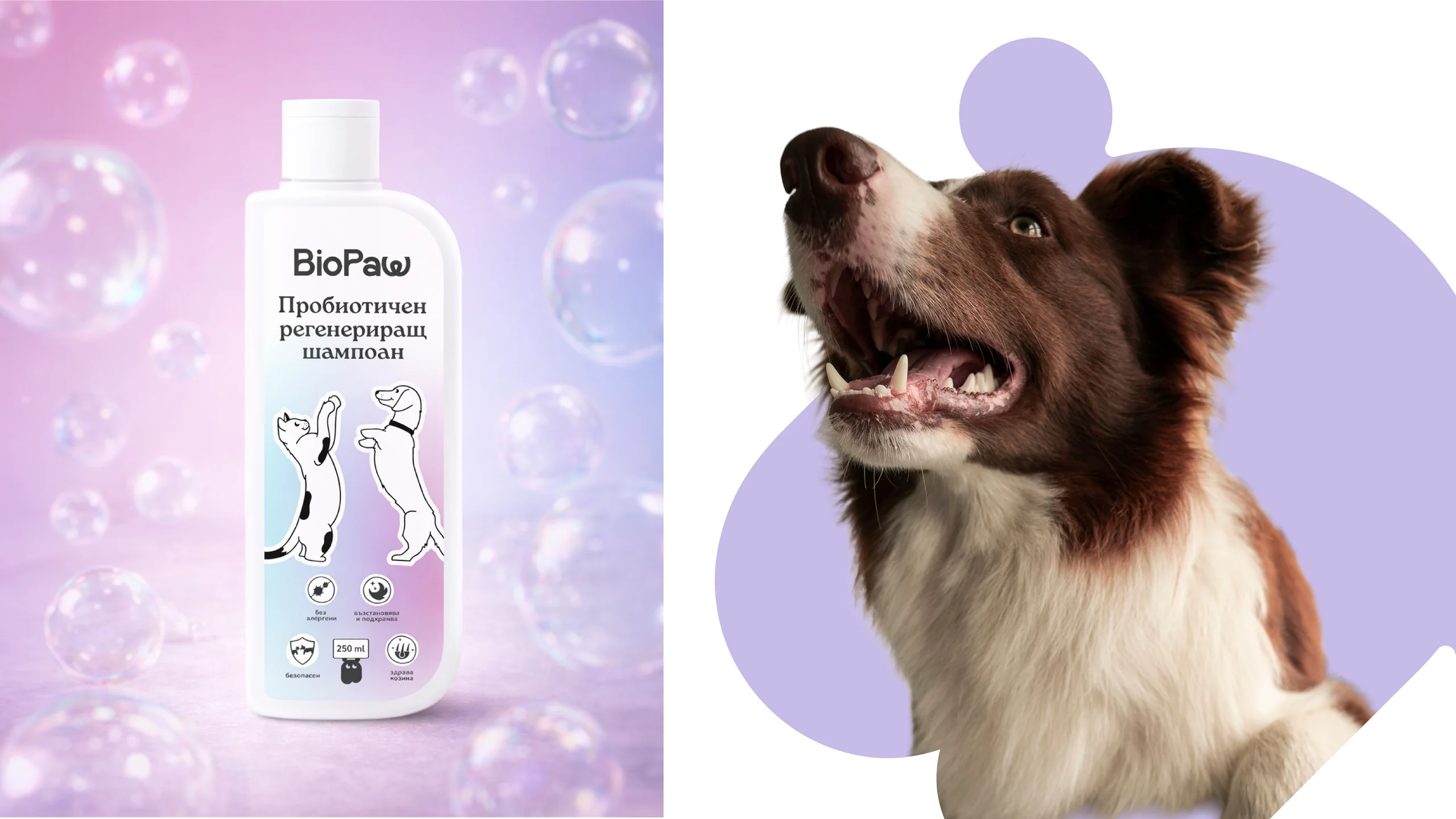 BioPaw mockup