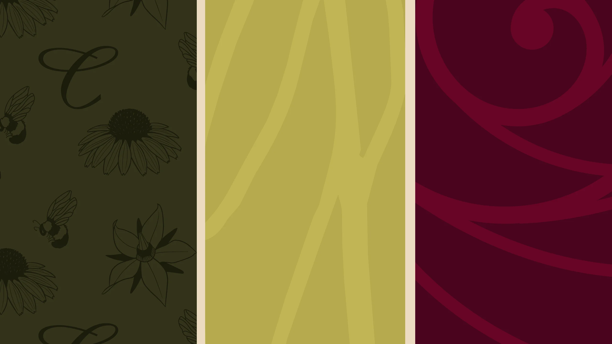 Coquina mockup