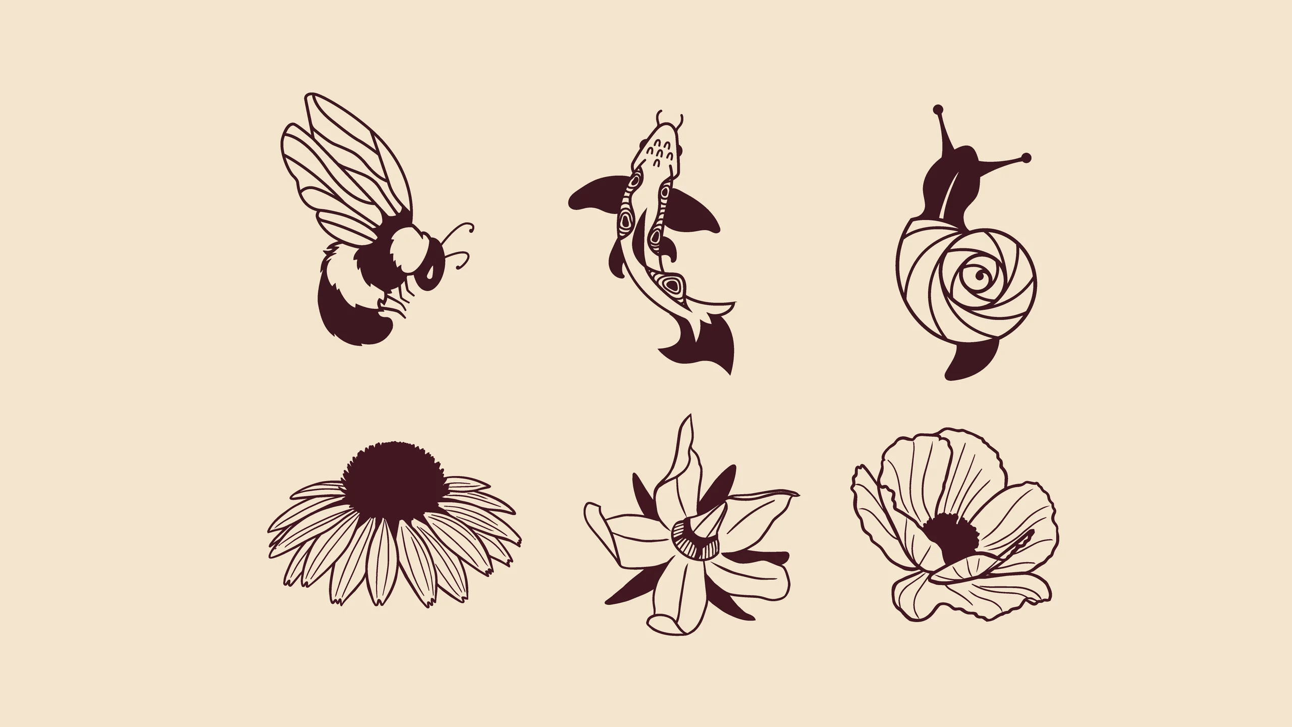Coquina mockup